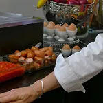 Hotel Puccini Peschiera del Garda